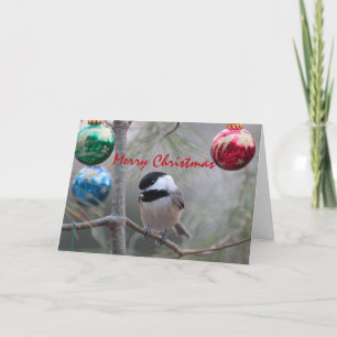 Chickadee Feestdagen Kaart