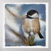 Chickadee Fine Art Print (Voorkant)