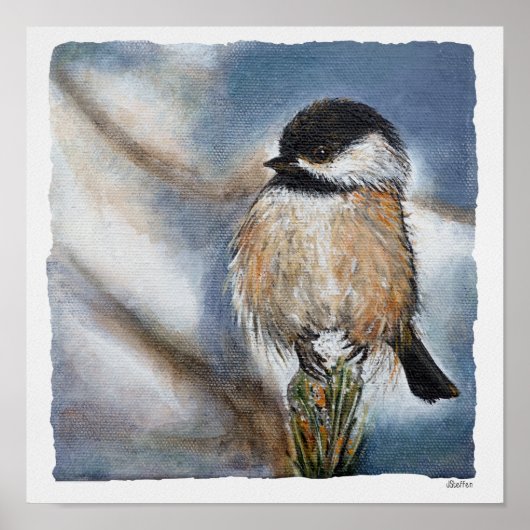 Chickadee Fine Art Print (Voorkant)