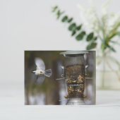 Chickadee in Flight Briefkaart (Staand voorkant)