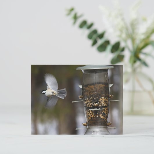 Chickadee in Flight Briefkaart (Staand voorkant)