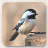 Chickadee in Golden Light Onderzetter (Voorkant)
