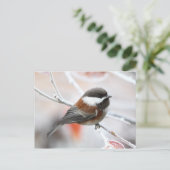 Chickadee in Winter Briefkaart (Staand voorkant)