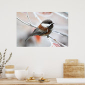 Chickadee in Winter Poster (Keuken)