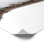 Chickadee in Winter Poster (Hoek)