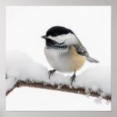Chickadee in Winter Poster (Voorkant)