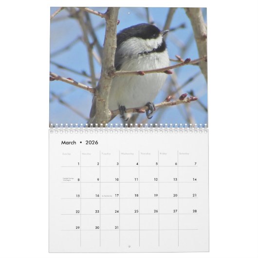 Chickadee Kalender (Mar 2026)