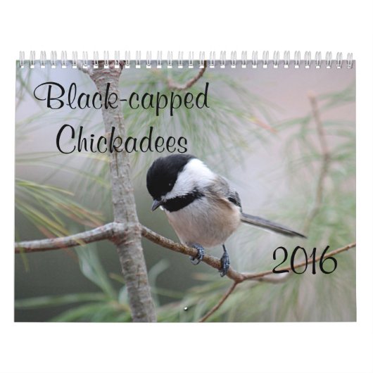 Chickadee Kalender (Hoes)