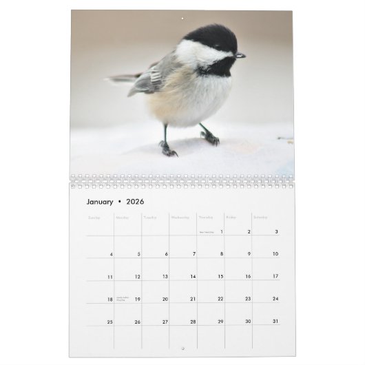 Chickadee Kalender (Jan 2026)