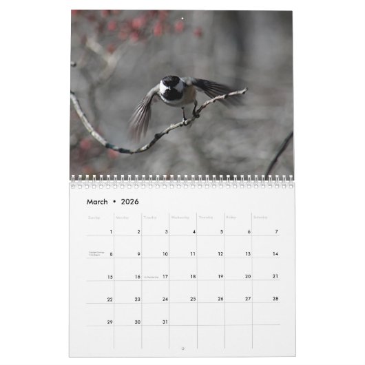 Chickadee Kalender (Mar 2026)