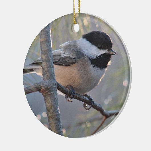 Chickadee Keramisch Ornament (Links)