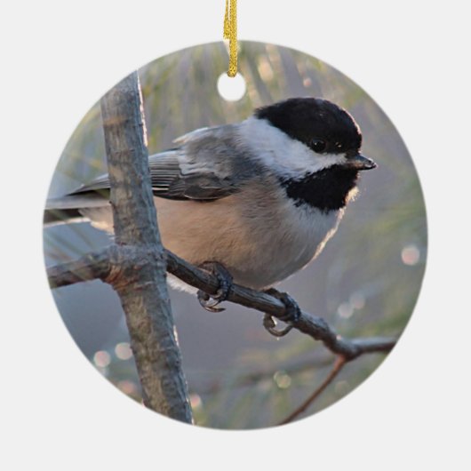 Chickadee Keramisch Ornament (Achterkant)