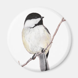 Chickadee Magneet