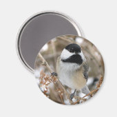 Chickadee Magnet (Voorkant / Achterkant)