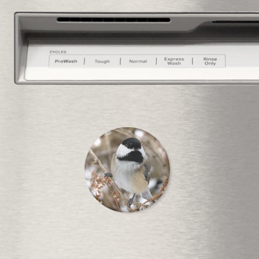 Chickadee Magnet (Insitu (Vaatwasser))