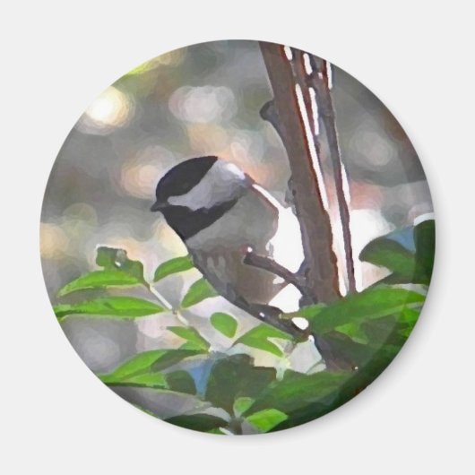 Chickadee Magnet (Voorkant)