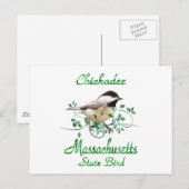 Chickadee Massachusetts State Bird Briefkaart (Voorkant / Achterkant)