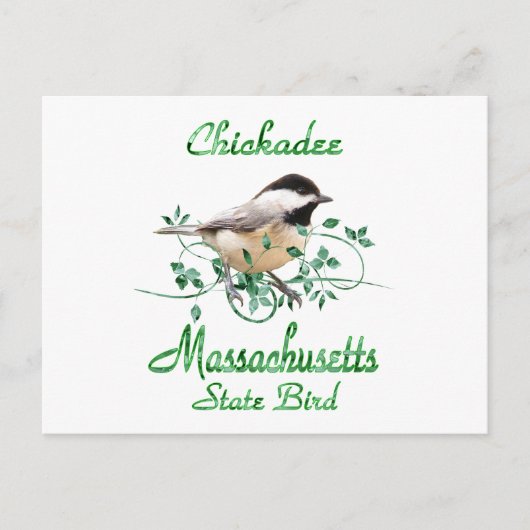 Chickadee Massachusetts State Bird Briefkaart (Voorkant)