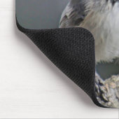 Chickadee Muismat (Hoek)