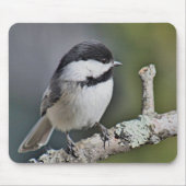 Chickadee Muismat (Voorkant)