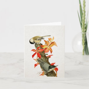 Chickadee Nuthatch Herfst Foliage  Bird Card Kaart