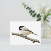 Chickadee on Branch Briefkaart (Staand voorkant)