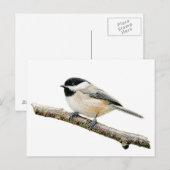 Chickadee on Branch Briefkaart (Voorkant / Achterkant)