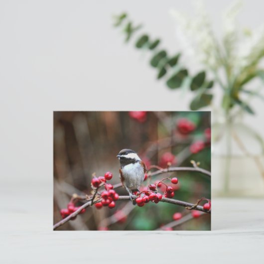 Chickadee on Branch met Red Berries Briefkaart (Staand voorkant)