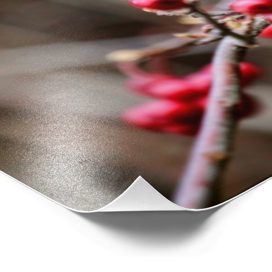 Chickadee on Branch met Red Berries Foto Afdruk (Hoek)