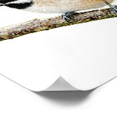 Chickadee on Branch Poster (Hoek)