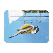 Chickadee on feeder Painting - Original Bird Art Magneet (Horizontaal)
