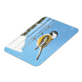 Chickadee on feeder Painting - Original Bird Art Magneet (Linkerzijde)