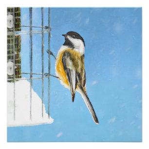 Chickadee on feeder Painting - Original Bird Art Perfect Poster