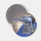 "Chickadee on my Knee" Magneet (Voorkant / Achterkant)