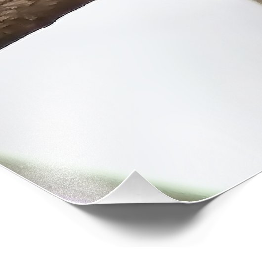 Chickadee op een Branch Square Print Foto Afdruk (Hoek)