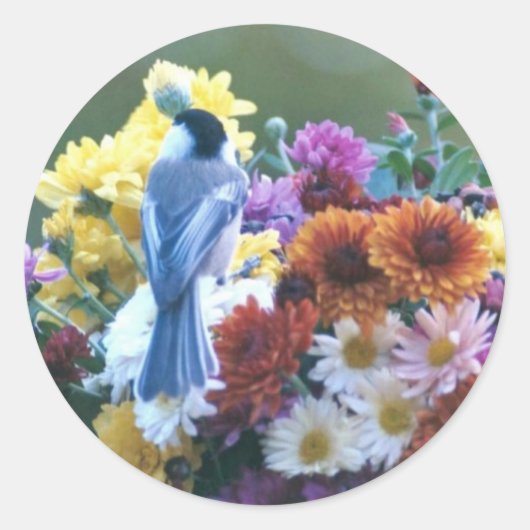 CHICKADEE OP MOEDERS RONDE STICKER (Voorkant)