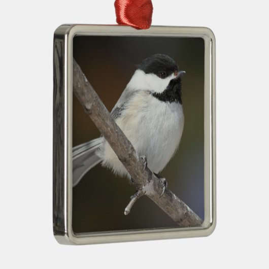 Chickadee Ornament (Rechts)