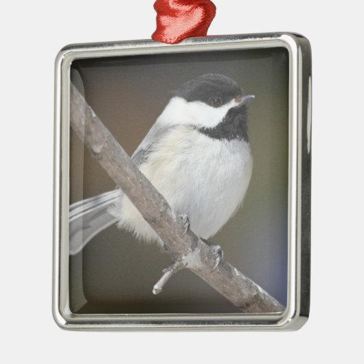 Chickadee Ornament (Links)