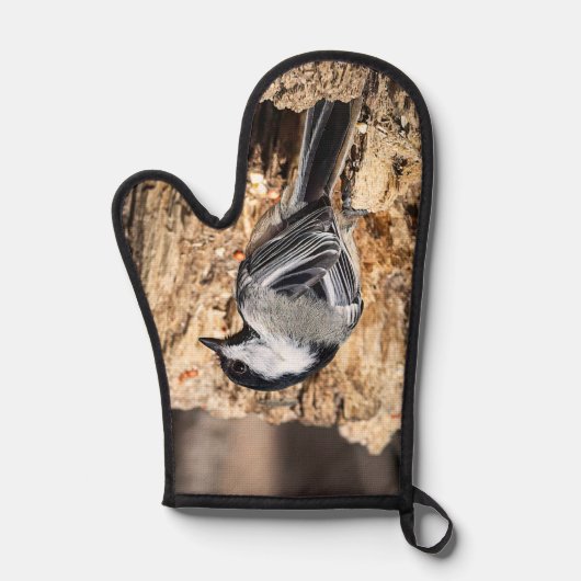 Chickadee Ovenwant (Voorkant)