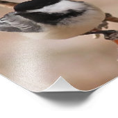 Chickadee Photo Print Foto Afdruk (Hoek)