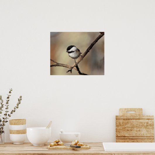 Chickadee Poster (Keuken)