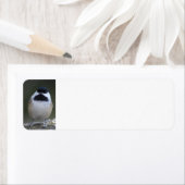 Chickadee retouradreslabel etiket (Insitu)