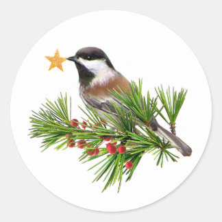 Chickadee Ster Stickers