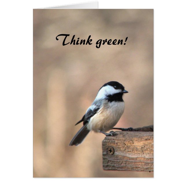Chickadee Think Green (Voorkant)