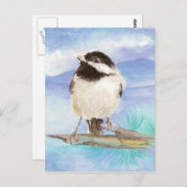 Chickadee, Vogel, Wildlife, Natuur, Briefkaart (Voorkant / Achterkant)