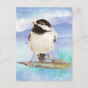 Chickadee, Vogel, Wildlife, Natuur, Briefkaart