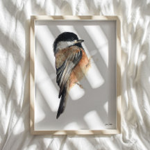 Chickadee Waterverf Art Print