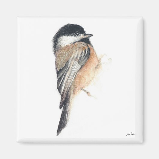 Chickadee Waterverf kunstmagneet Magneet (Voorkant)