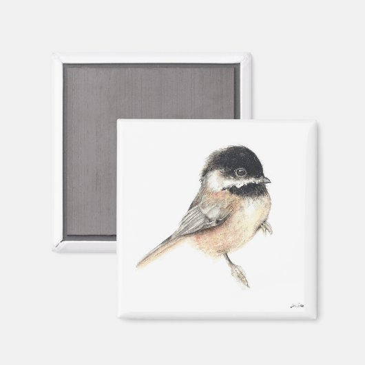 Chickadee Waterverf kunstmagneet Magneet (Voorkant / Achterkant)