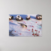 Chickadee Winter Canvas Print (Voorkant)